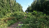 Трофи-лайф фото 4х4 Корпаративный Джип-тур в Яхроме 17.08.2024 - (12).png