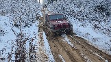 20251115_122848.jpg