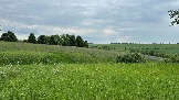 IMG_0832.jpg