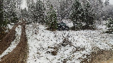 Трофи-лайф фото 4х4 покатушка Каширский Зигзаг 16.11.2025 - (23).JPG