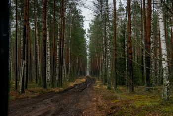 Шушмор (183 из 188).jpg