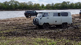 Трофи-лайф фото 4х4 покатушка В гости к зубрам 10.05.2024 -  (12).png