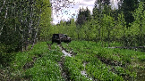 Трофи-лайф фото 4х4 покатушка Рогачёвские Сокровища 11.05.2024 - (52).png