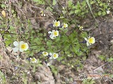 Фото Трофи-лайф 4х4 покатушка Мещерские Озёра 6-9.05.23 - 199.JPG