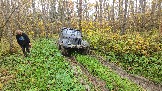 20251011_115736.jpg
