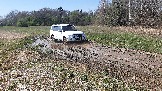 20250420_132921.jpg