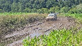 20260801_135057.jpg