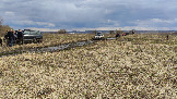 Трофи-лайф фото 4х4 покатушка Ступинский Крюк 18.04.2026 - 22.jpg