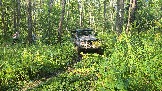 20260801_161151.jpg