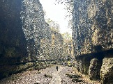 IMG_8636.JPEG