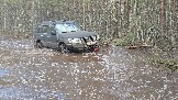 20260502_133534.jpg