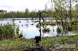 Фото Трофи-лайф 4х4 покатушка Мещерские Озёра 6-9.05.23 - 143.jpg