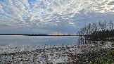20260501_175421.jpg
