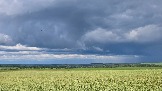 20250613_171512.jpg