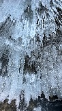 0D9D4F51-8D2F-4767-B2AE-991D7FD99D94.jpeg