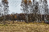 24-10-26_trophy-life_17 _0357jpg_web.jpg