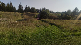 Трофи-лайф фото 4х4 покатушка Радужный Водопад 24.08.2024 -  (188).png
