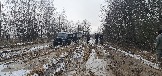 20241130_110231.jpg