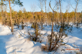 _MG_0332.jpg