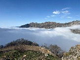 IMG_8548.JPEG