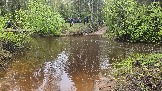 20250502_160359.jpg