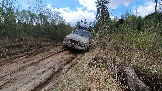 20250426_131411.jpg