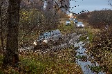 24-10-26_trophy-life_17 _0505jpg_web.jpg