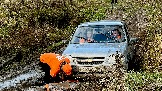 IMG_7518.jpg