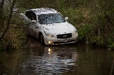 IMG_8876.jpeg