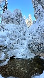 55A87588-33C6-408D-B16A-A126A7A5F7EB.jpeg
