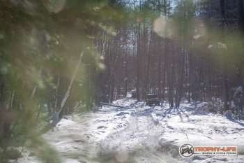 _MG_1820-34.jpg