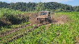 20260801_135304(0).jpg