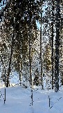 3494BA66-6628-4664-9E58-0377300A4649.jpeg