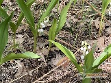 Фото Трофи-лайф 4х4 покатушка Мещерские Озёра 6-9.05.23 - 218.JPG