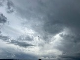 IMG_8730.JPEG