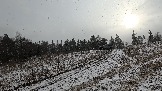 Трофи-лайф фото 4х4 покатушка Школа 4х4 16.02.2025 -  (196).jpg