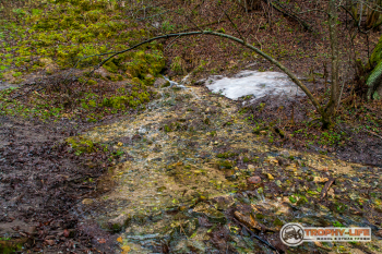 _MG_8357.jpg