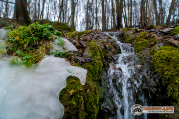 _MG_8368.jpg