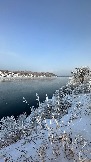 IMG_8303.jpg