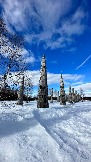 IMG_1386.jpg