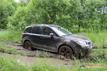 Трофи-лайф Вокруг Плещеева озера 20.06.2020 - 47.JPG