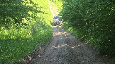 20260606_154447.jpg