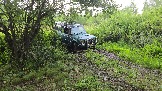 20250801_115955.jpg