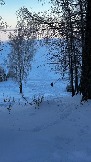IMG_2892.JPG