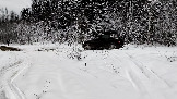 Трофи-лайф фото 4х4 покатушка Перемиловский Рубеж 05.01.2025 - (66).jpg