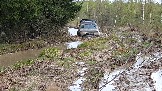 20250426_124333.jpg
