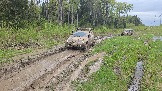 20260510_161308.jpg