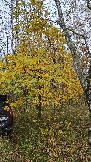 20251011_144906.jpg