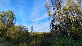 20231011_155534.jpg
