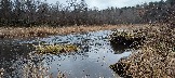 IMG_20231105_112402.jpg